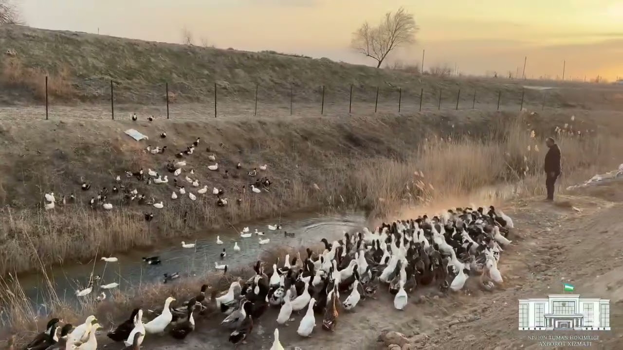 Ўрдакчилик зонаси