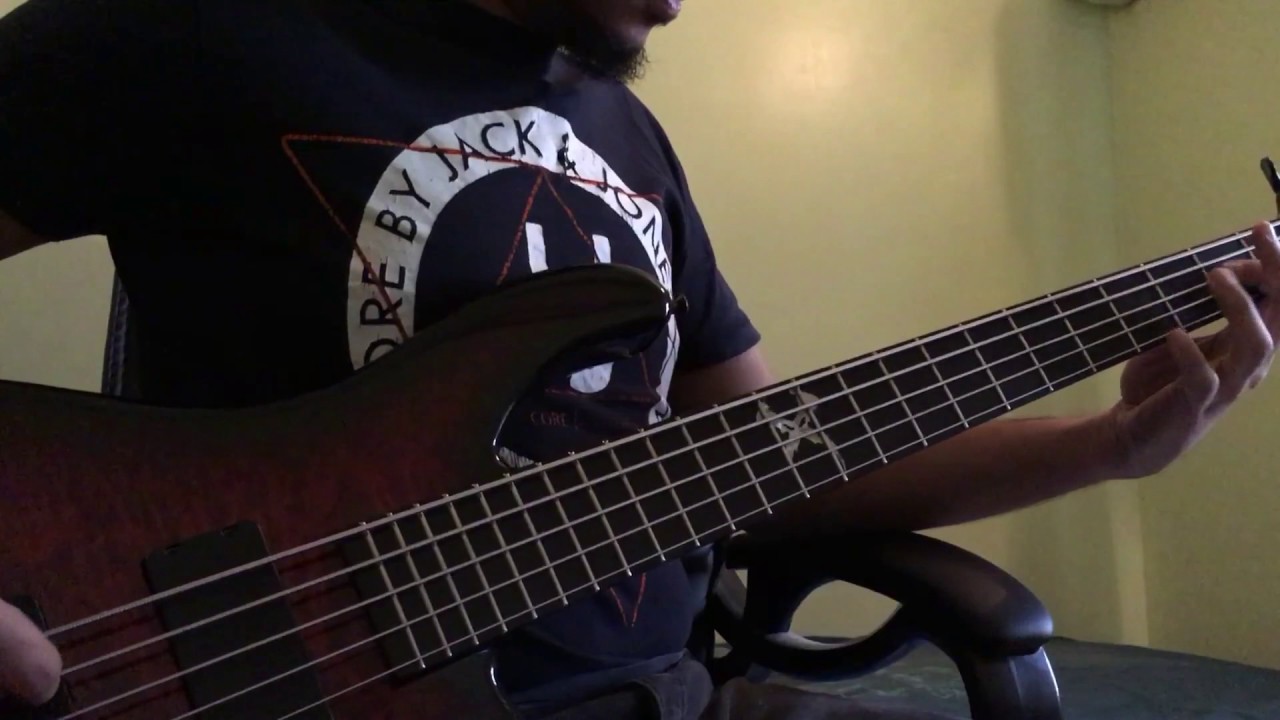 Plini - Selenium Forest (Bass Cover)