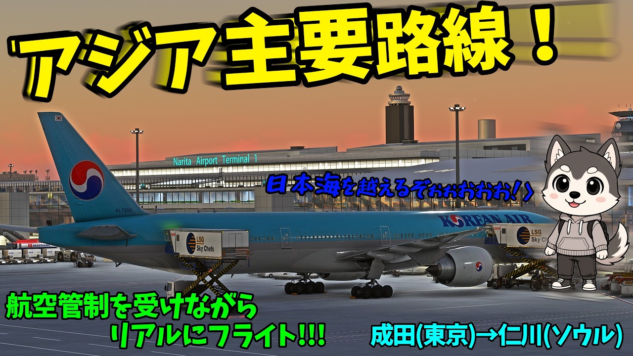 日本海を越えて！アジア主要路線！！管制下でリアルに運行！！   #vatsim 