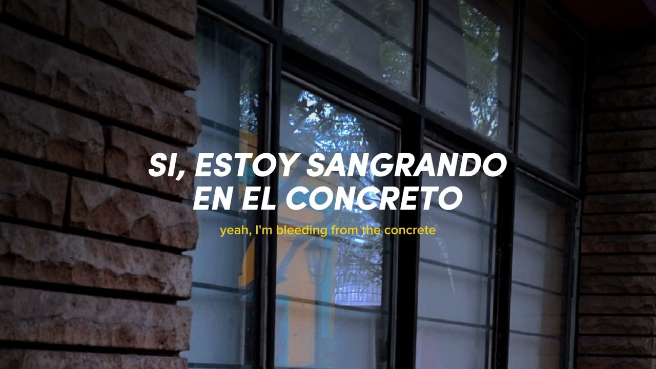 JXDN - STRAY (Letra En Español)