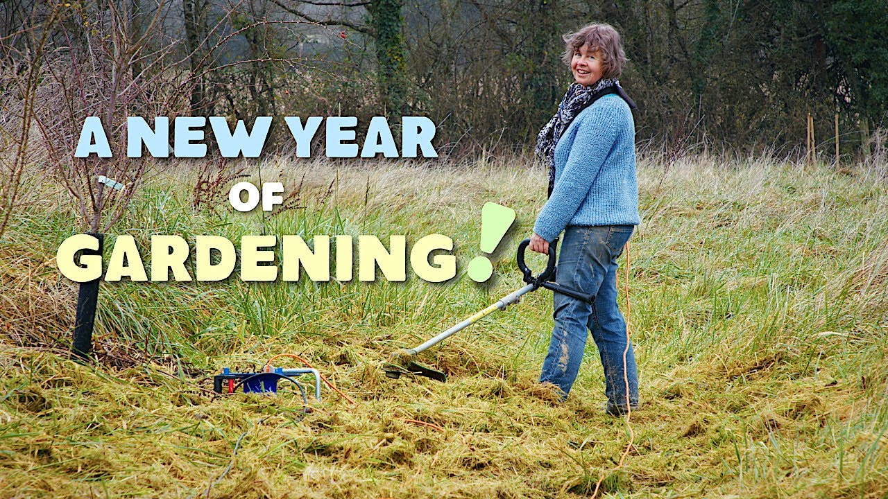 #12 A new year of gardening in France