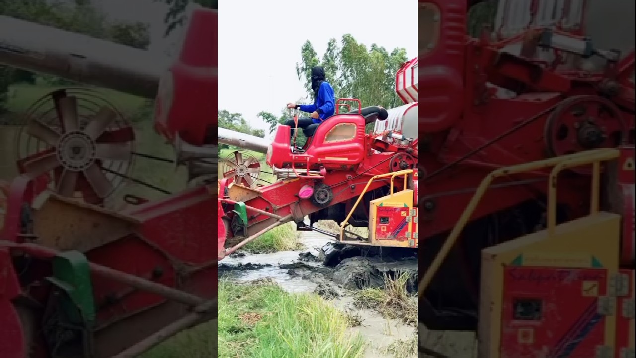Kombi Sawah