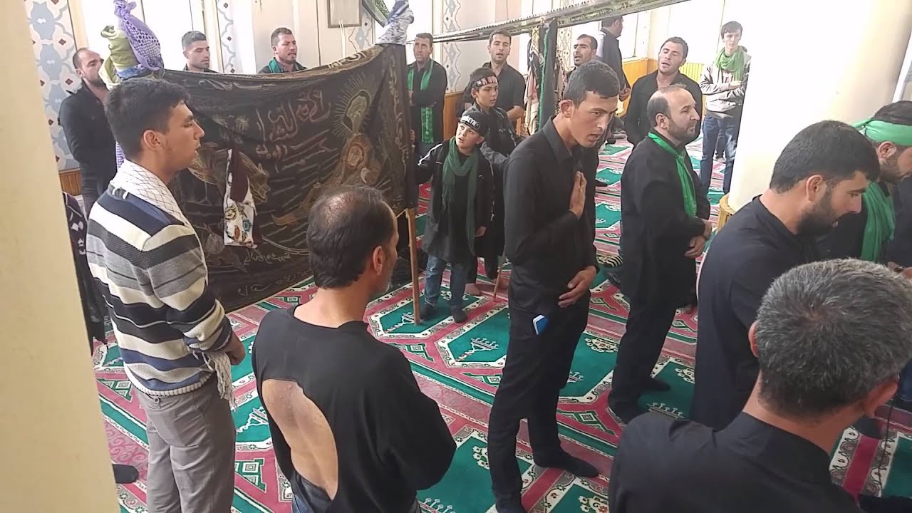 Taşburun destesi karakoyun