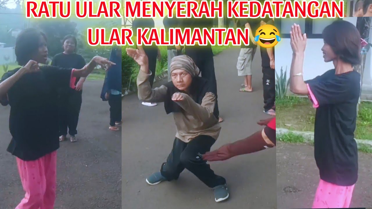 ITA VS BANG HARA❗Ratu Ular Vs Ular Kalimantan 😂