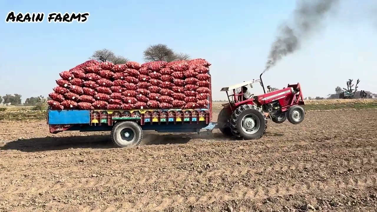 #onlytractors #farming #agriculture #farmer #300#jali