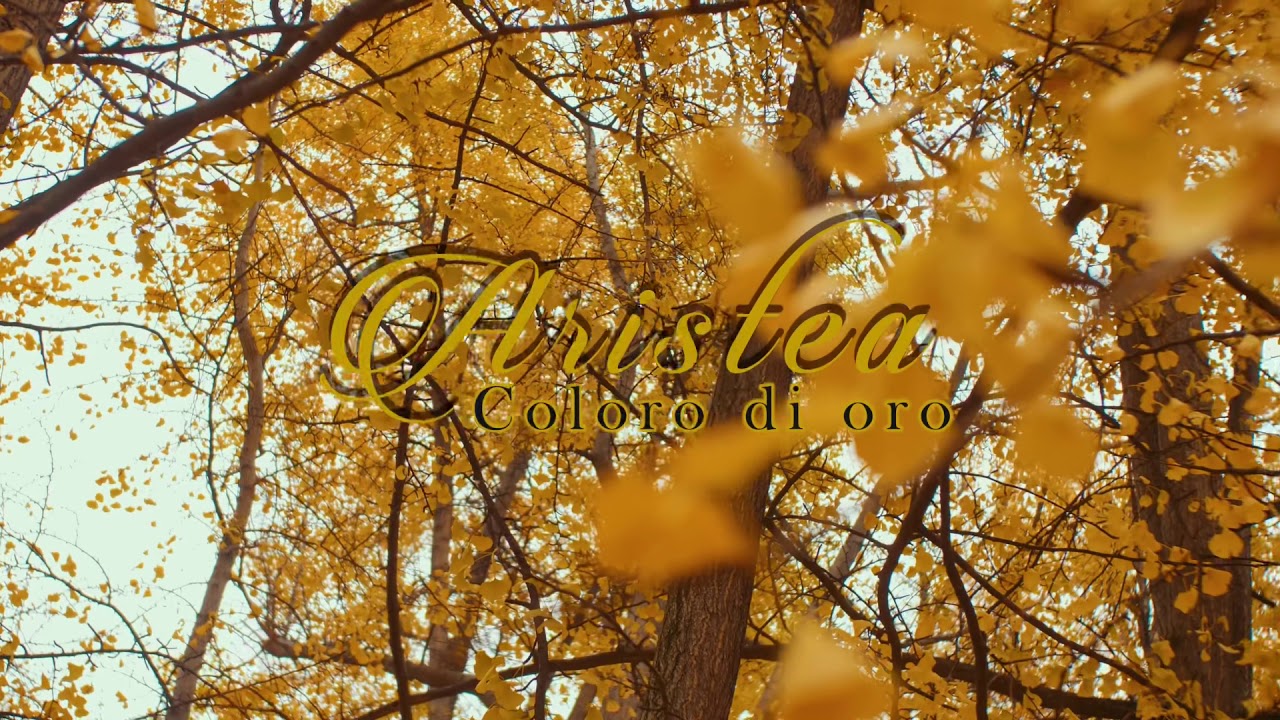 Aristea - Coloro di Oro (Official Video)