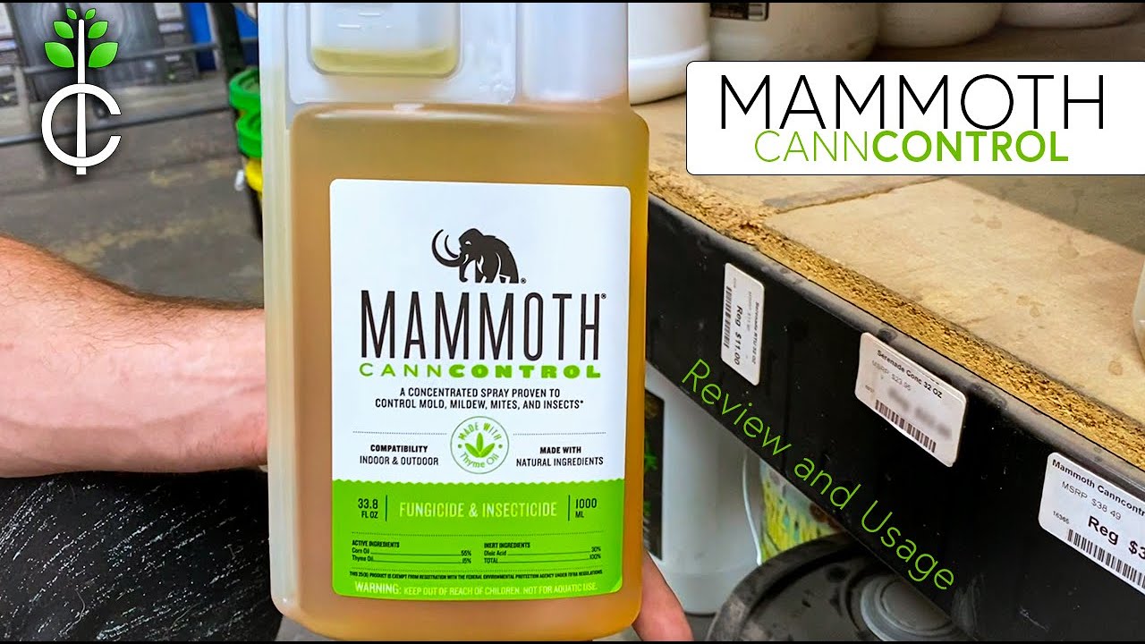 MAMMOTH CANNCONTROL Pesticide Review and Usage [Cultivate Colorado] #gardening #growtips