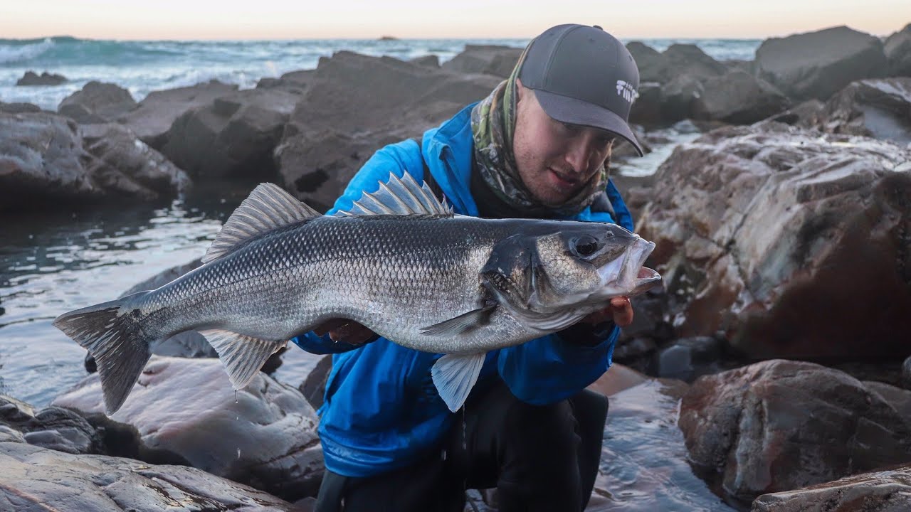 LUBINAS a SPINNING en INVIERNO + Lo MEJOR de nuestra PESCA 2019