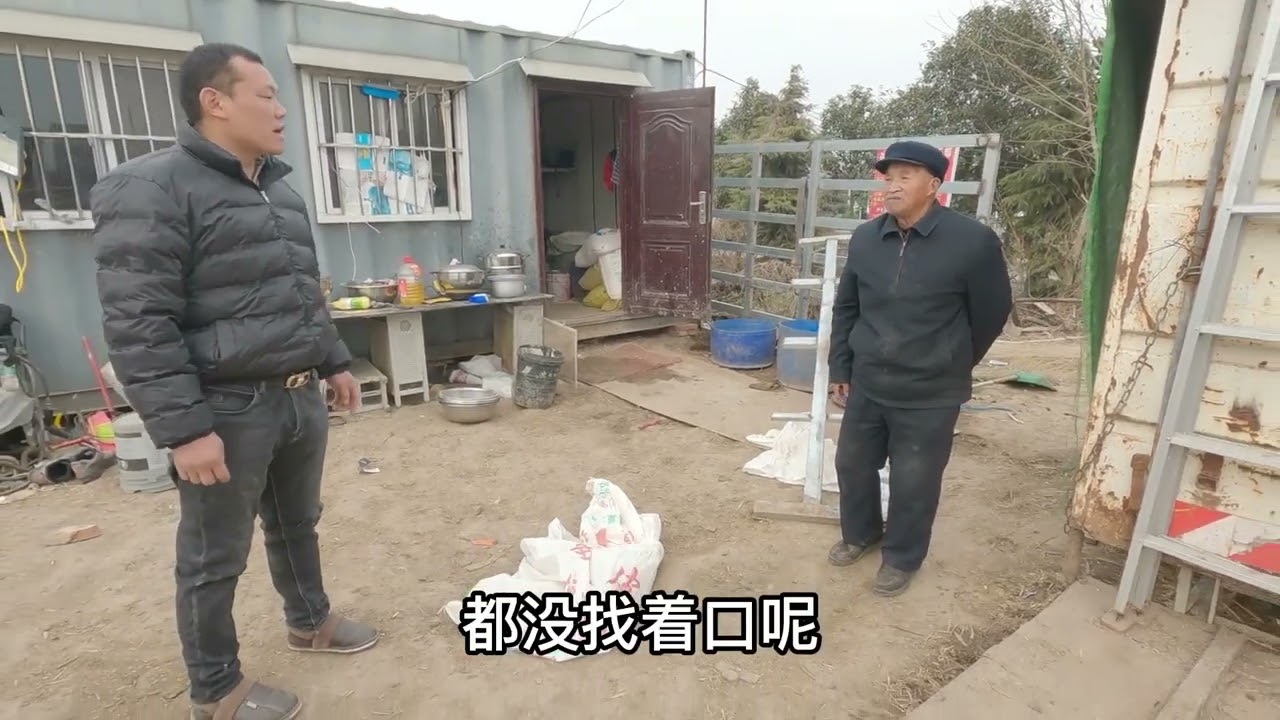 养马人的真实生活，马跑出去差点农民大爷家的桃树吃了 #我的乡村生活 #农场日记