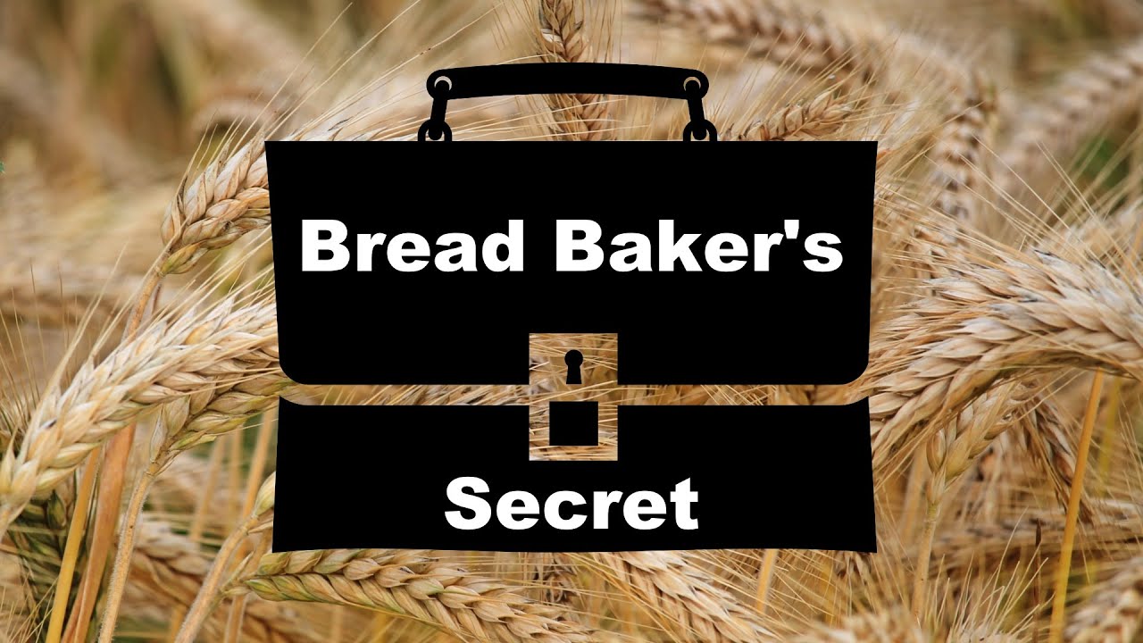 What is Malted Barley Flour? How Does it Affect Bread Baking?