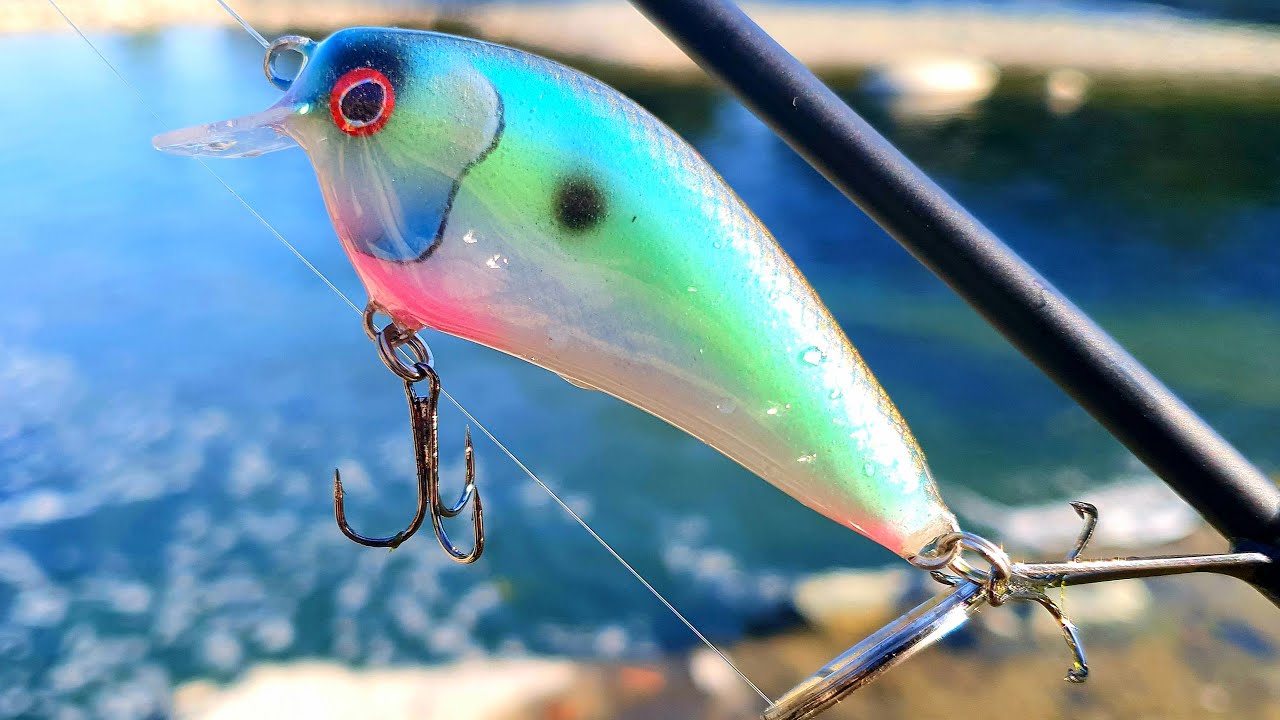 Building a custom balsa lure (ITA)