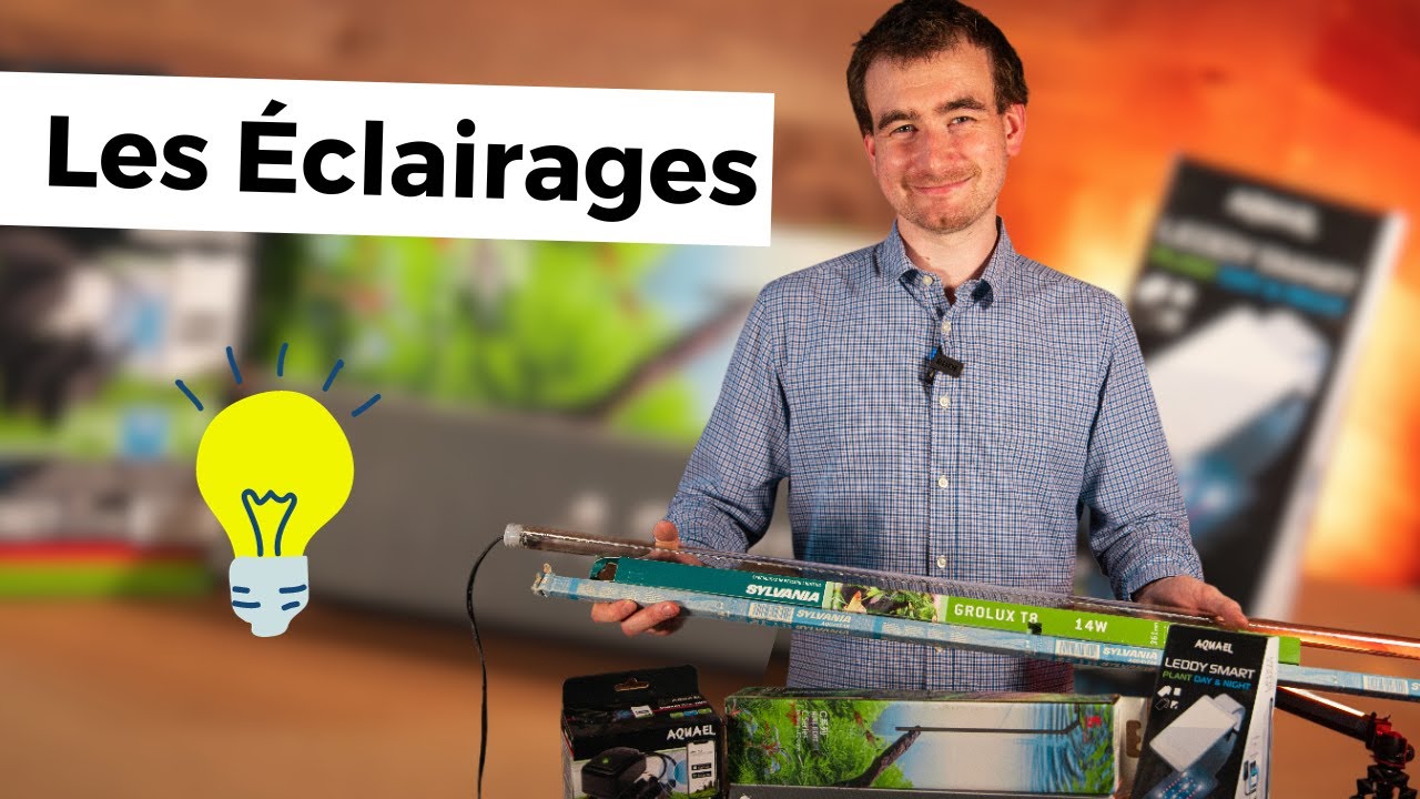 QUEL ÉCLAIRAGE CHOISIR POUR SON AQUARIUM QUAND ON DÉBUTE ? | AQUABOTA