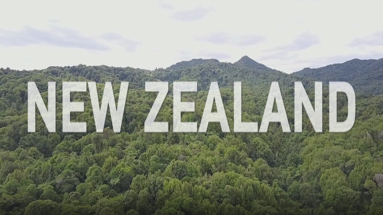 Assignment Asia: Saving New Zealand's birds