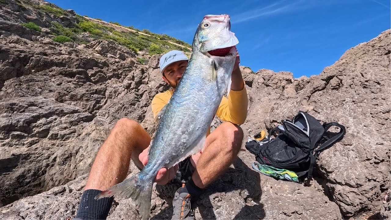 Pesca Spinning:Un branco di Pesci Serra IMPAZZITI