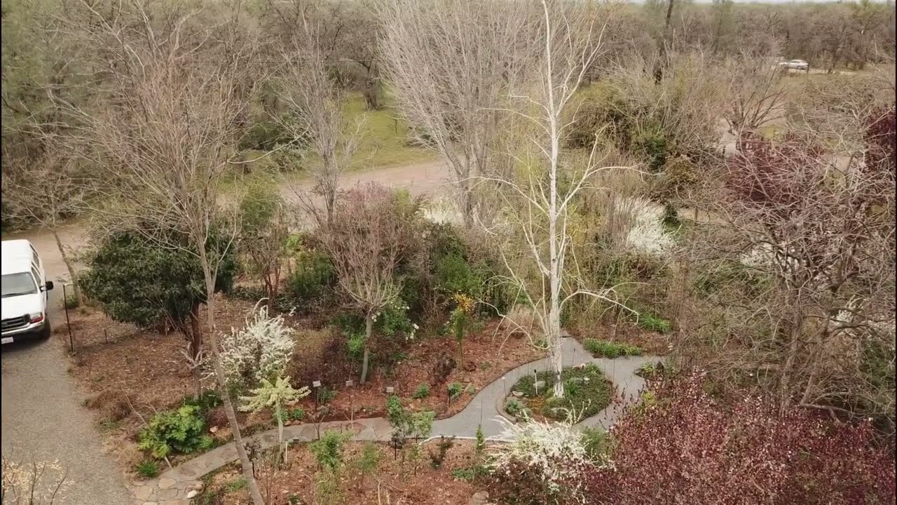 Brand Gardens