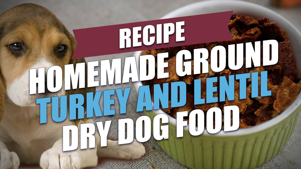 Homemade Ground Turkey and Lentil Dry Dog Food Recipe