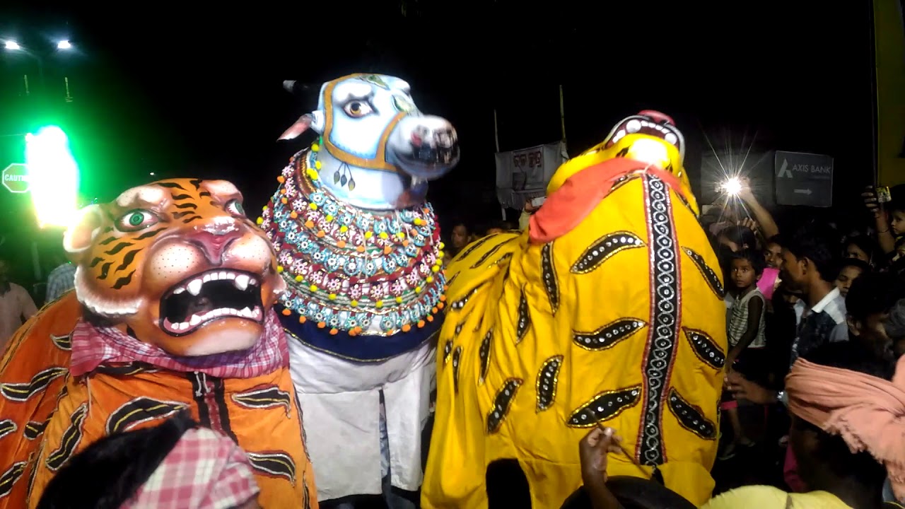 Tiger and bull fight dance in thakurani Yatra