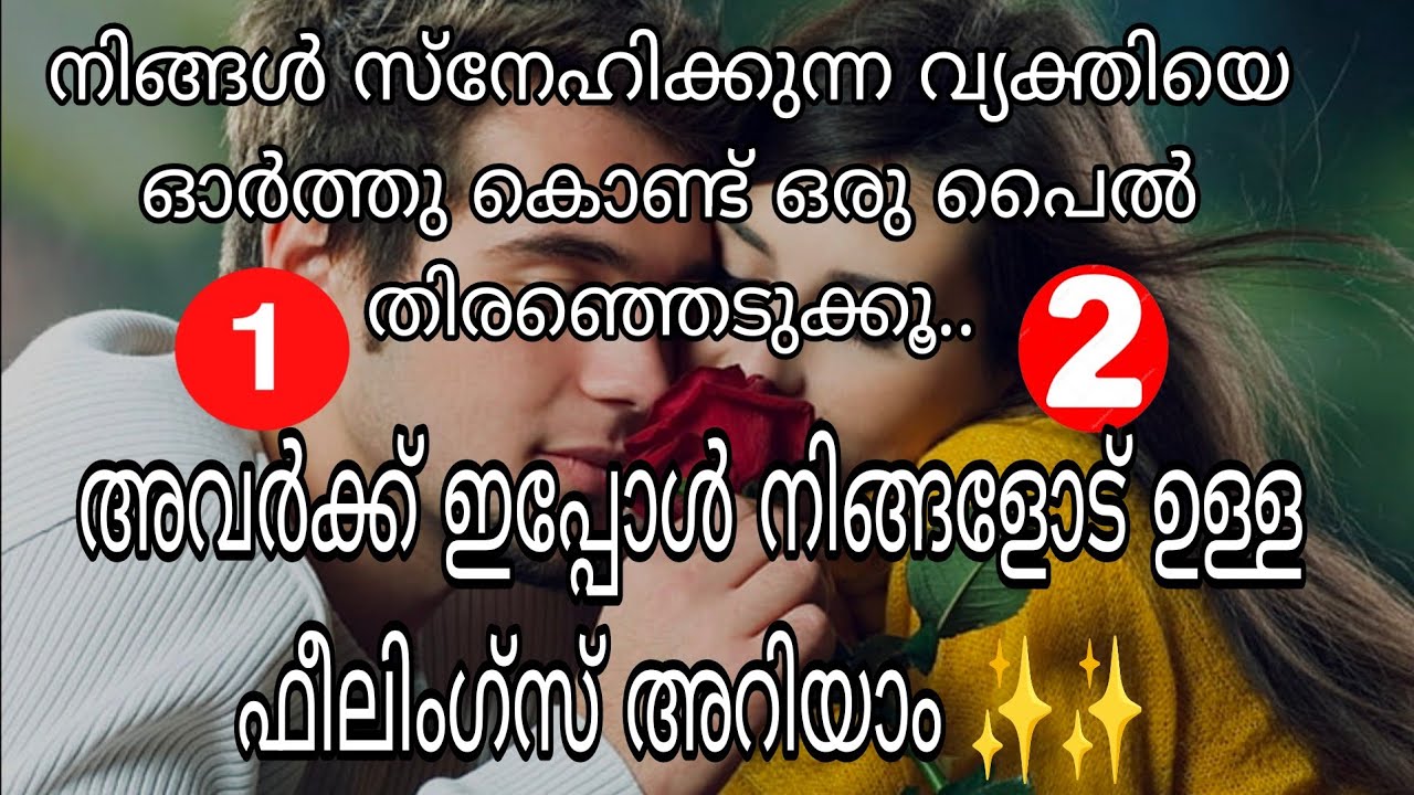 നിങ്ങൾ സ്നേഹിക്കുന്ന വ്യക്തിയെ ഓർത്ത് ഒരു പൈൽ തിരഞ്ഞെടുക്കൂ.അവർക്ക് നിങ്ങളോടുള്ള ഫീലിംഗ്സ് അറിയാം ✨✨