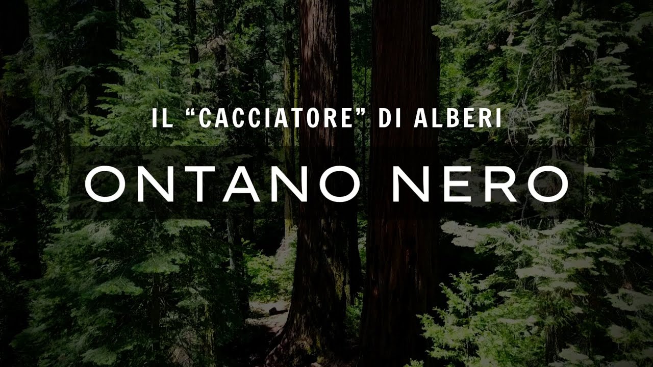RICONOSCERE GLI ALBERI - ONTANO NERO