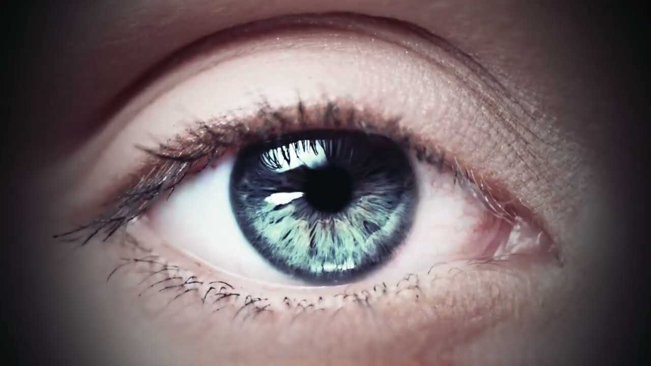 US Startup promo video by Bedrik Studio