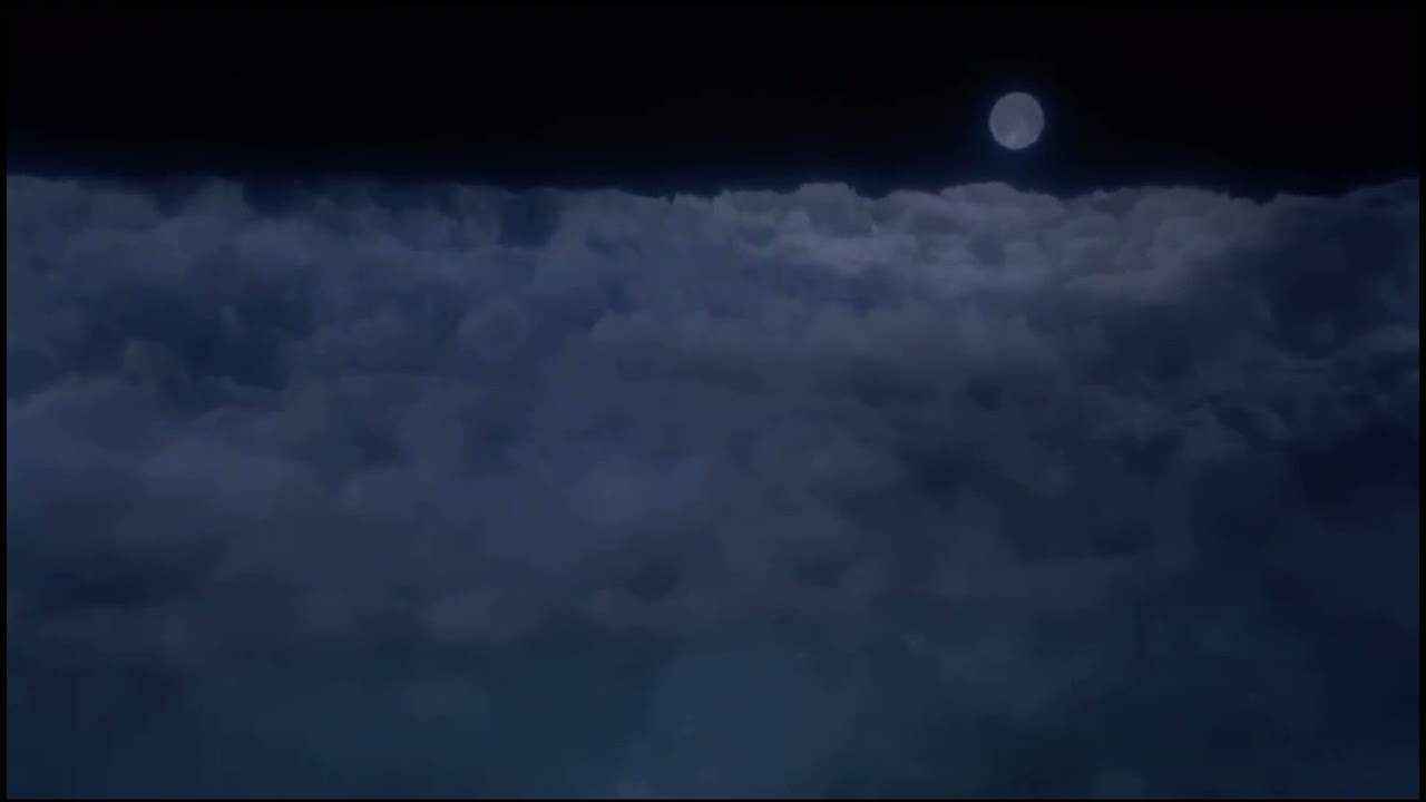Jaws but it’s an airplane!!  (Airplane!!) (1980)