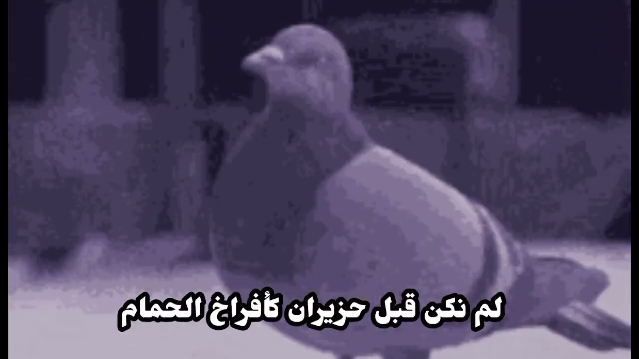 ١٨ فبراير ٢٠٢٦