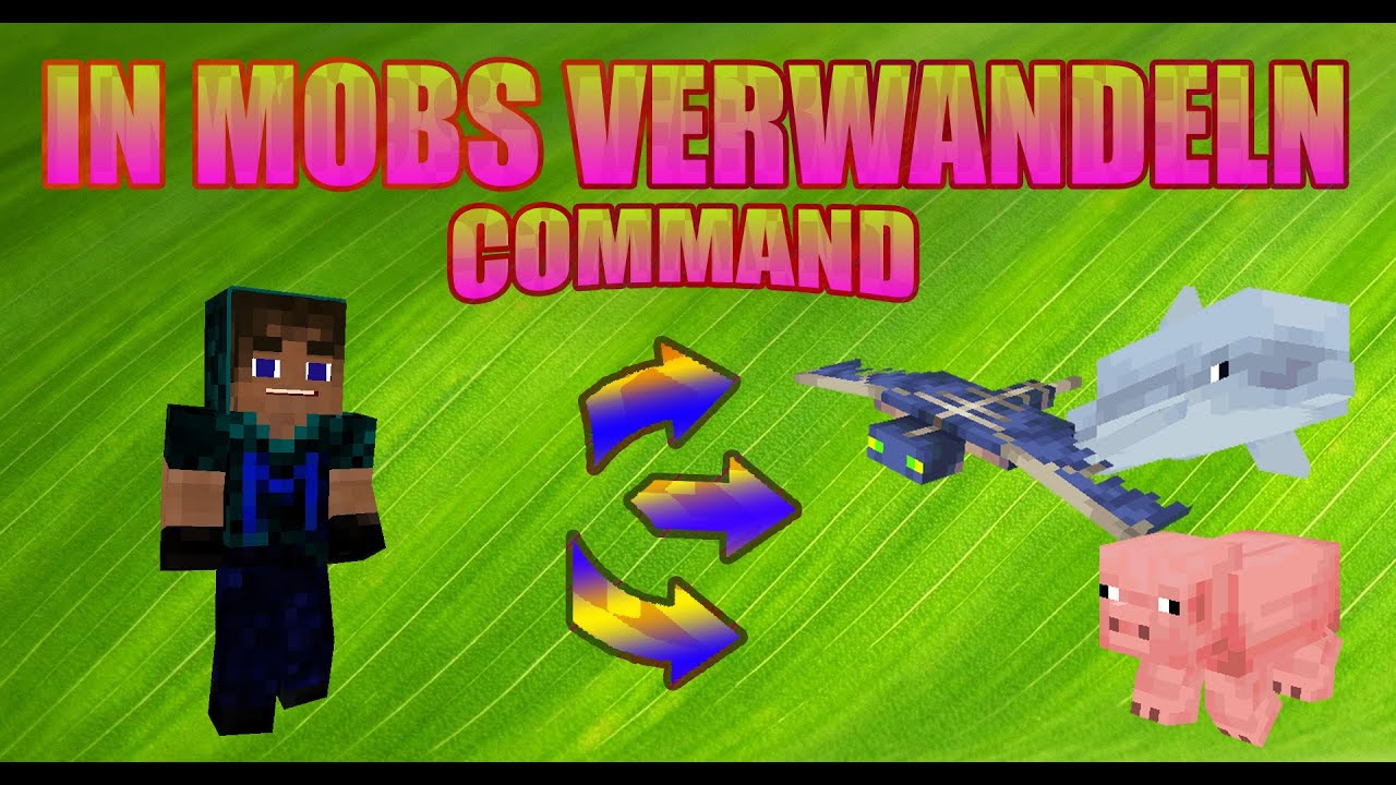 In Mobs verwandeln Command! Warden, Delphin, Schwein, Phantom und mehr!