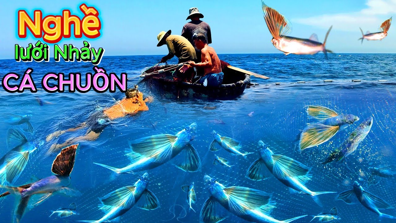 Độc Đáo Nghề Lưới Nhảy || Tận Mắt Chứng kiến Cá Chuồn Bay Của Ngư Dân Tam Tiến Quảng Nam