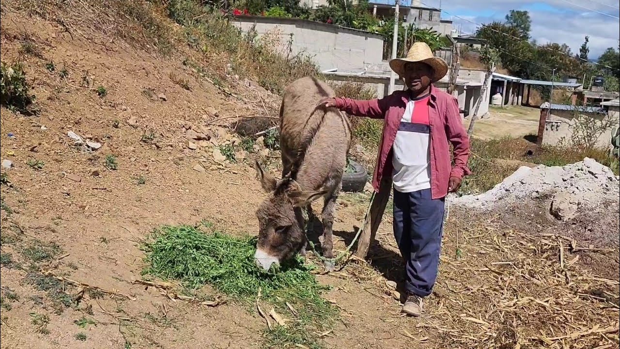 "Se aprende hacer la comida, asi no se sufre en la vida "|Tío Moisés.