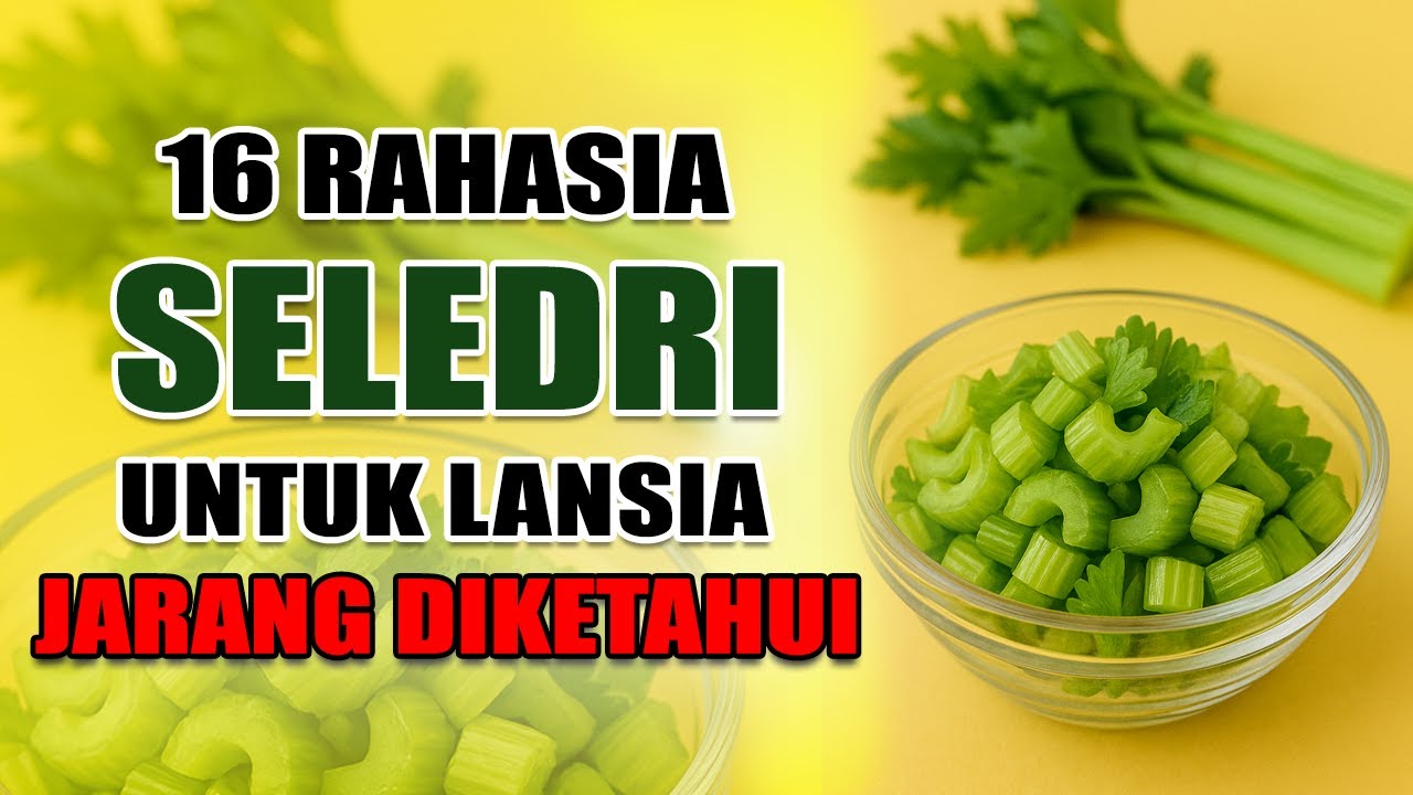 16 Rahasia SELEDRI yang Wajib Diketahui Lansia