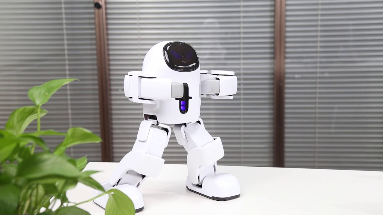 Leju Robotics--Pando, Feature Introduction 3: Auto Mode