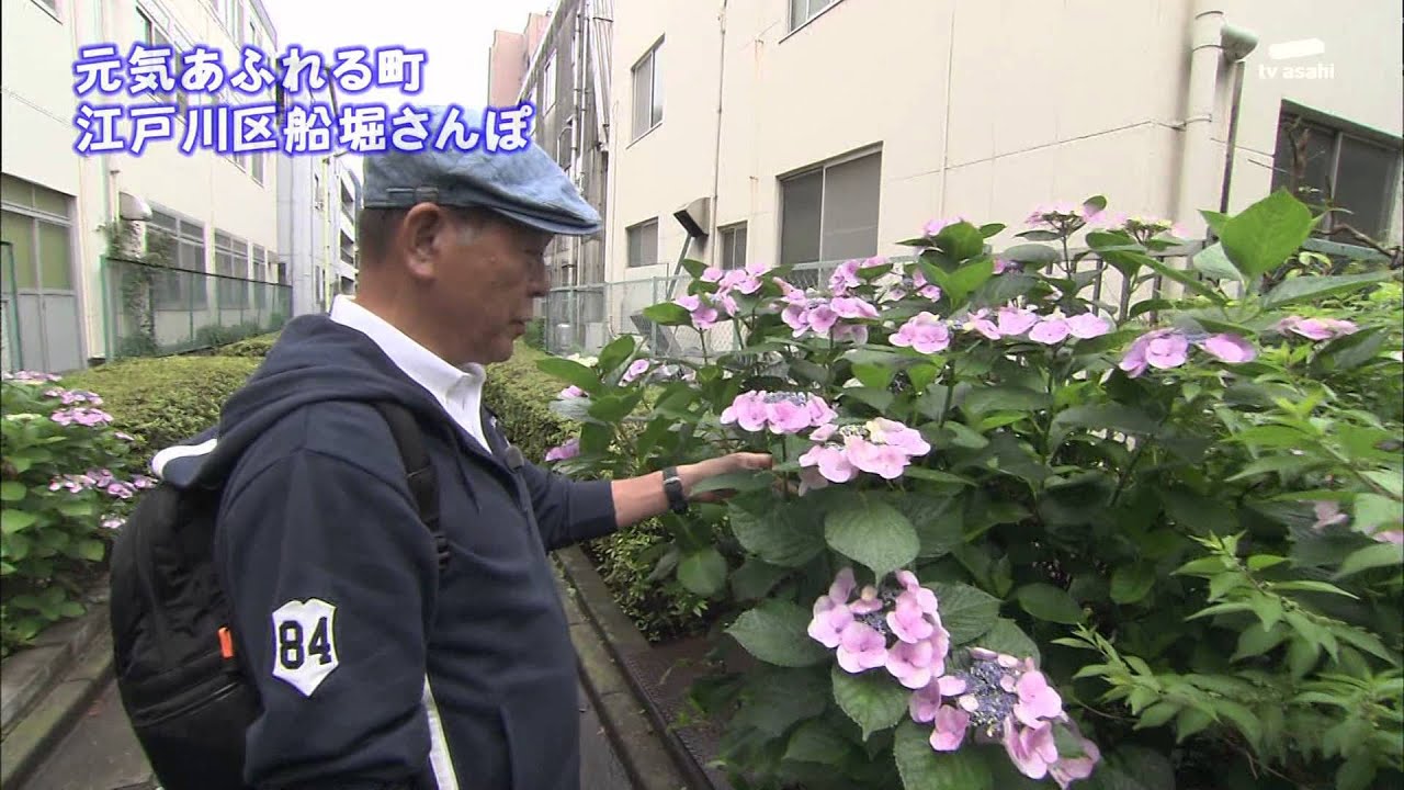 2011年8月2日 ちい散歩 船堀