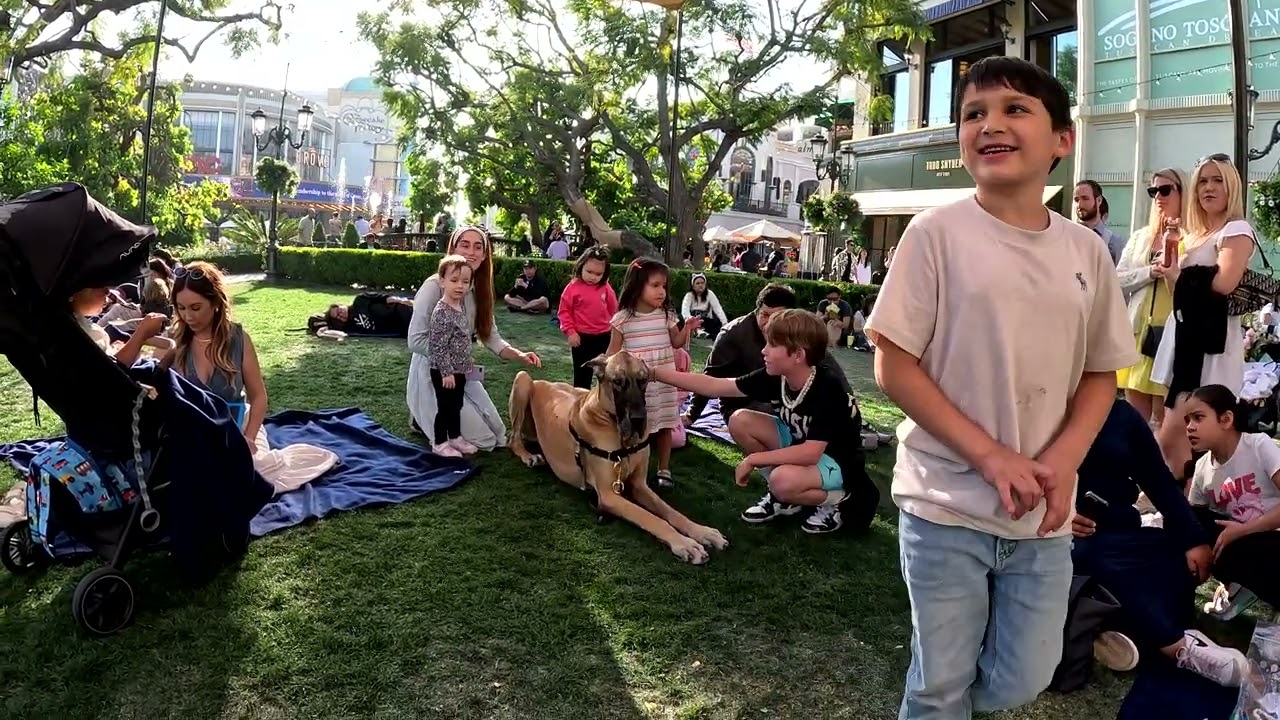 Cash 2.0 Great Dane at The Grove and Farmers Market in Los Angeles 91