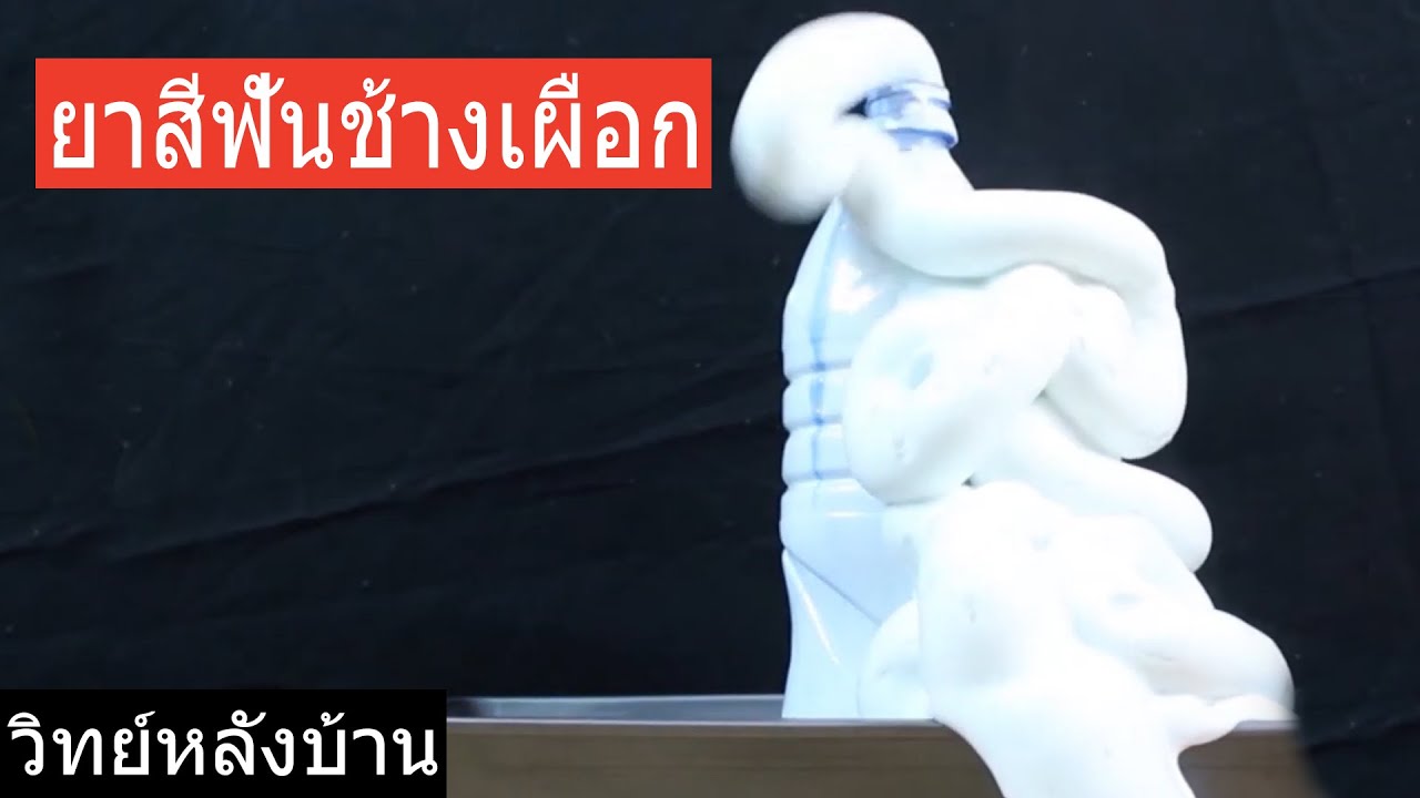 การทดลองยาสีฟันช้าง - ภูเขาไฟยาสีฟัน! | วิทย์หลังบ้าน | Elephant Explosion Toothpaste Experiment