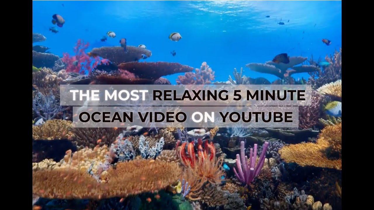 Ocean Whispers: A 5-Minute Break to Dive into Serenity [5 Min Timer] 