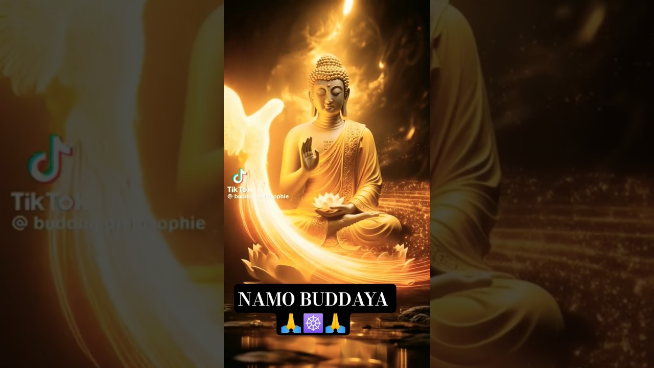 #namobuddaya #namobuddaya #ommanipadmehum #buddhansh 🙏🙏🙏🙏🙏🙏🙏☸️☸️☸️🙏☸️