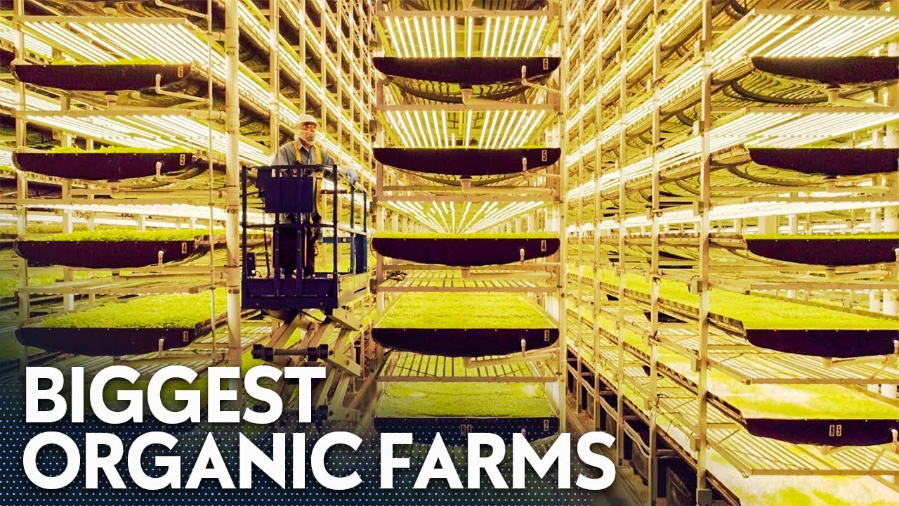 BIGGEST Organic Farms Around The World You NEVER Knew About!