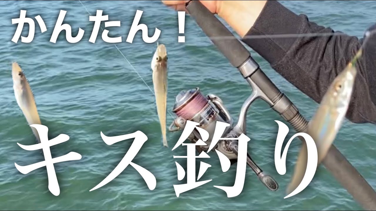 【キス釣り】に、虫エサ以外で爆釣な方法を見つけました。
