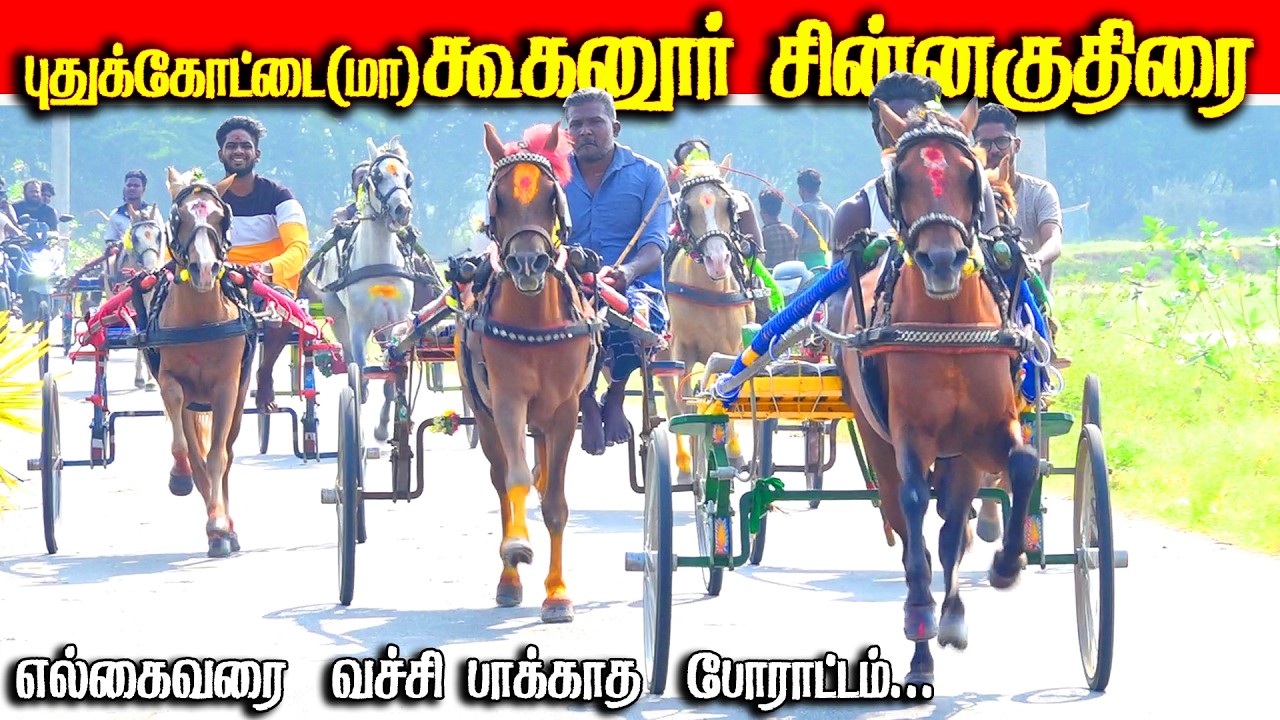 கூகனுர் சின்னகுதிரை பந்தயம் 16.02.2026