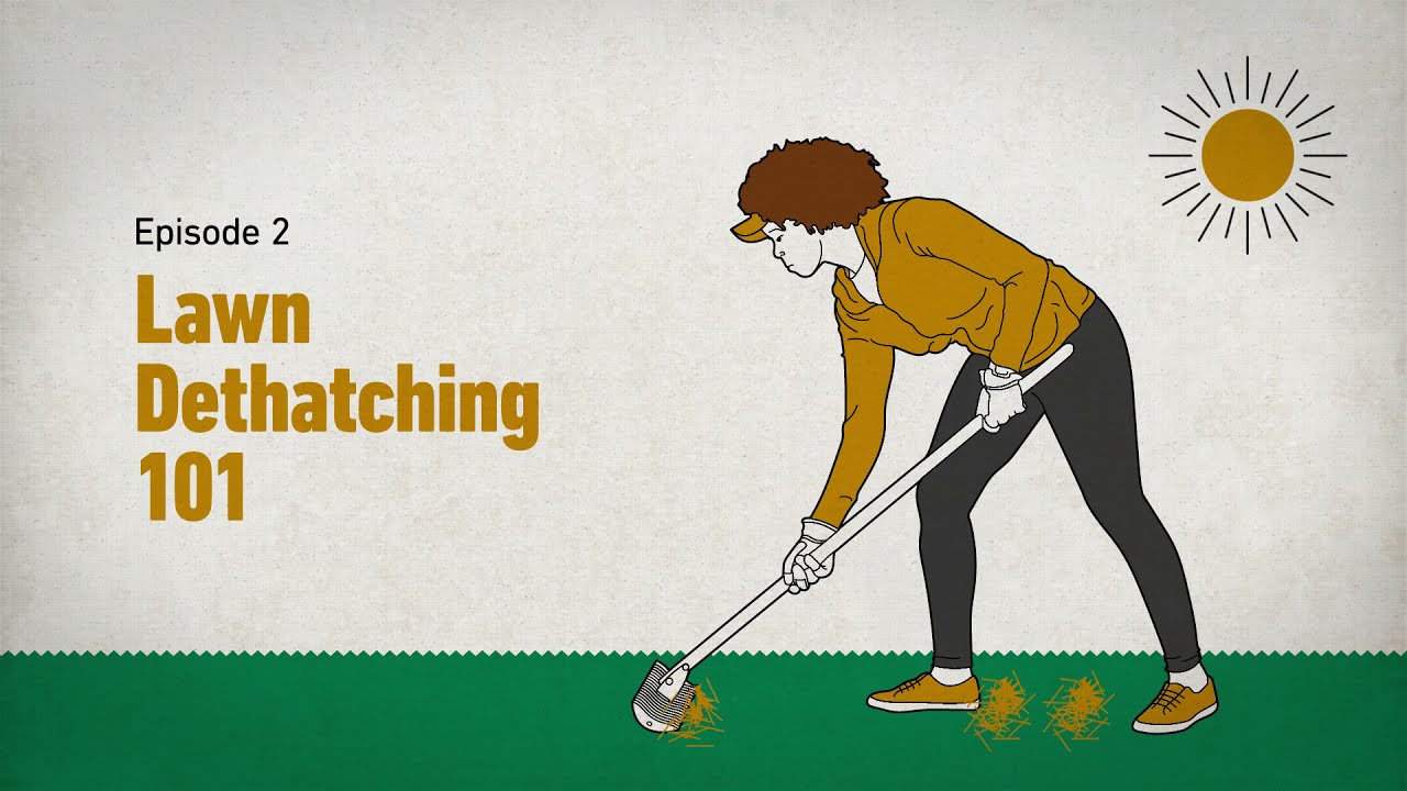 The Scotts Way: Lawn Dethatching 101