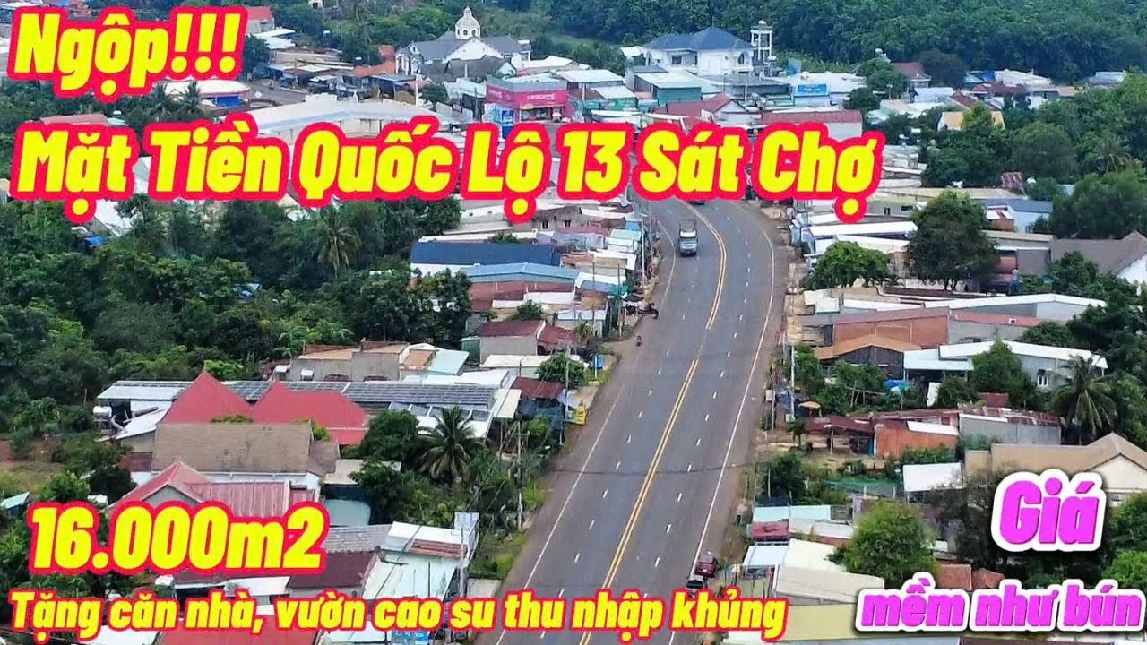 Tìm đâu ra??? 1,6ha mặt tiền quốc lộ 13, tặng căn nhà, vườn cao su thu nhập hàng chục triệu/tháng