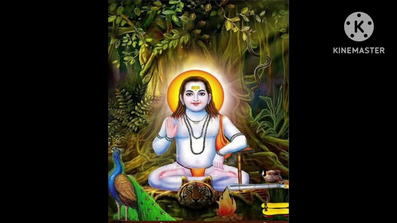 बाबा बालक नाथ जी के टपे🌹🌹सोहणिया जटावां वालिआ 🌹🌹🚩🚩🙏🙏