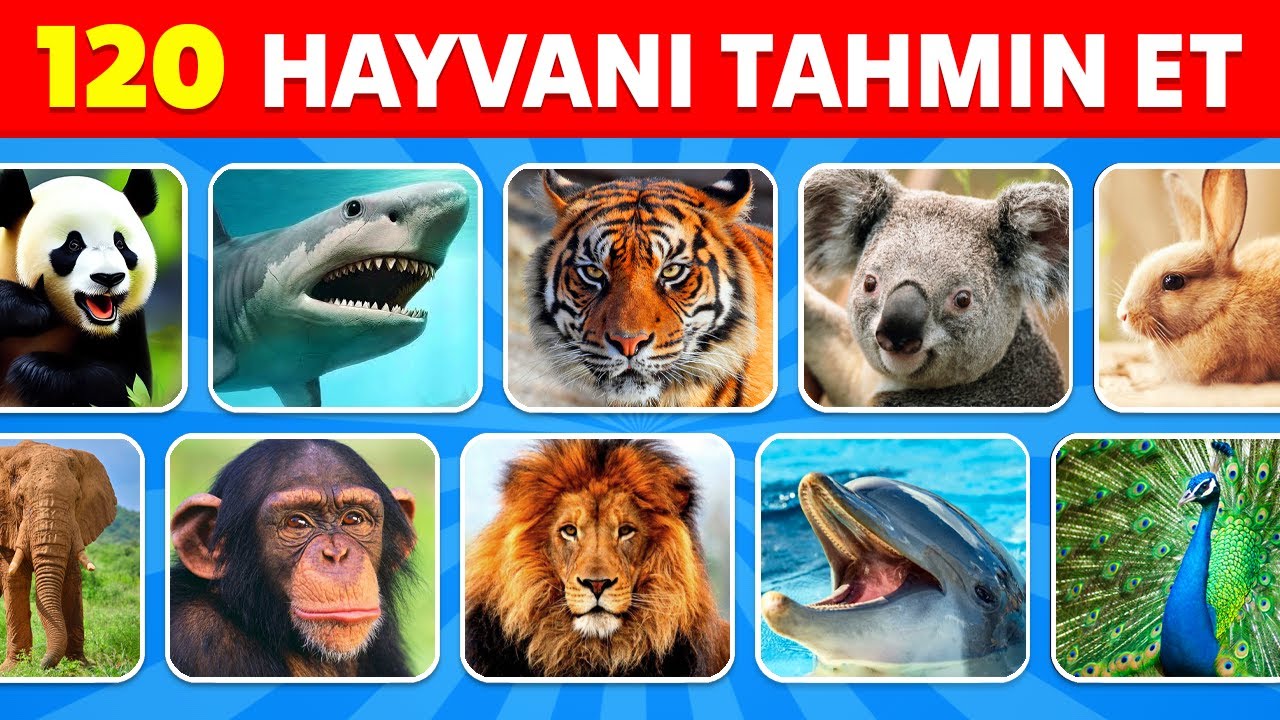 3 Saniyede 120 Hayvanı Tahmin Et | Kolay, Orta, Zor, İmkansız