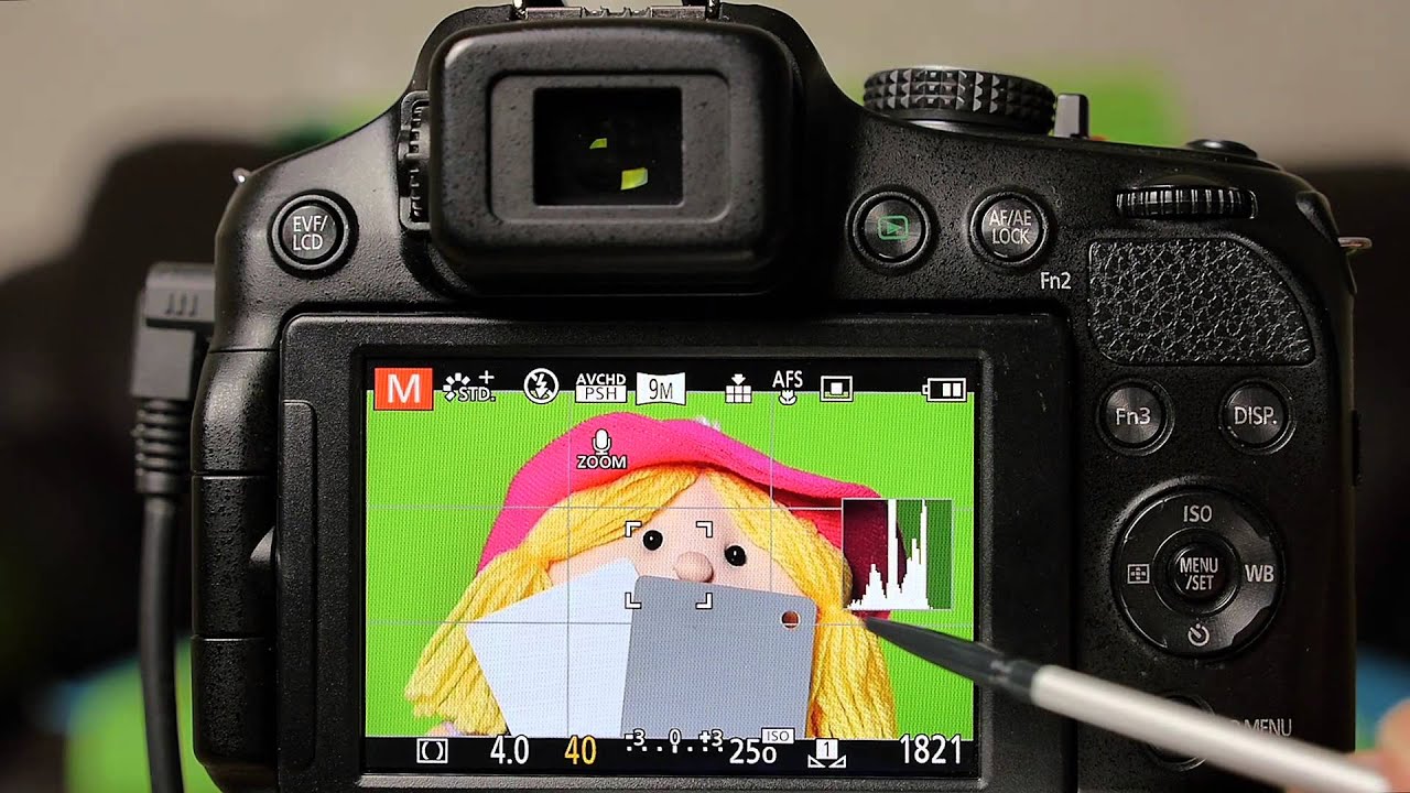 Panasonic Lumix Bridge cameras - Hints & Tips - Manual Exposure Mode