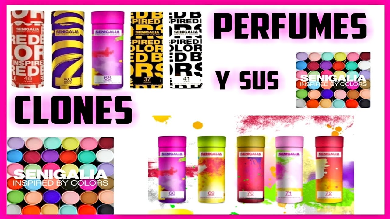 SENIGALIA PERFUMES  Y SUS CLONES~Morolove