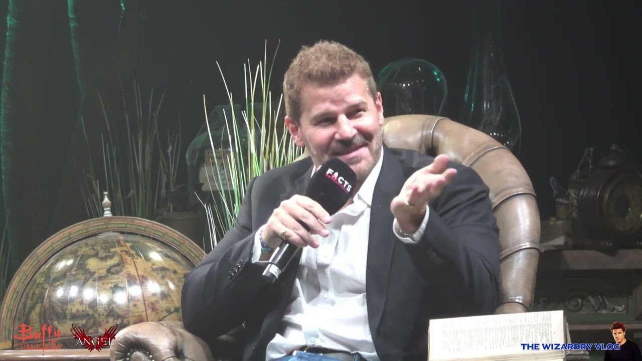 Сессия вопросов и ответов Дэвида Бореаназа | Факты о бельгийском Comic Con | 02.11.2024 (Баффи — ...