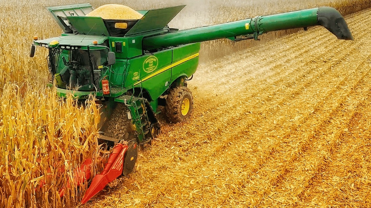УРОЖАЙ КУКУРУЗЫ 2024 JOHN DEERE S790i