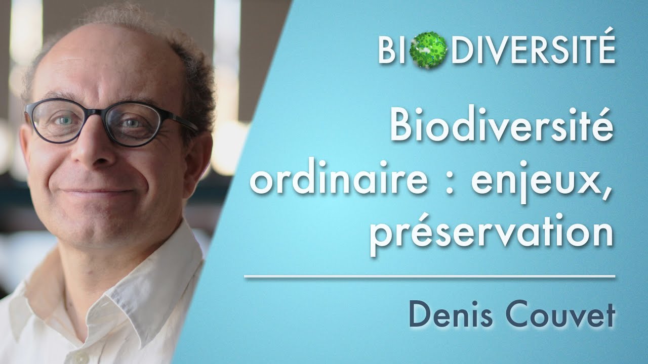 Biodiversité ordinaire : enjeux, préservation