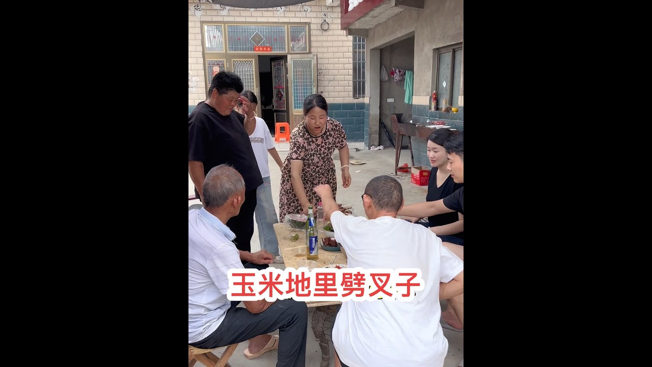 希望砖哥今天说的话不是醉话……#创作灵感 #我的乡村生活 #新农人计划2024 @海娇（金砖哥嫂子小号）