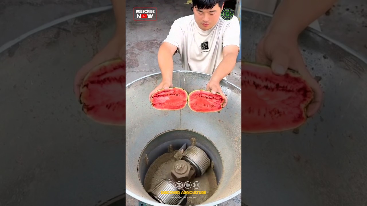 Amazing Pellet Feed Making Machine